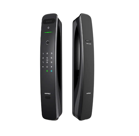 Khóa điện tử Hafele nhận diện khuôn mặt 3D - PP9100 (912.20.697)